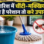Monsoon Home Tips में पोछे के पानी में नमक से घर की सफाई