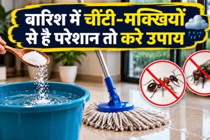 Monsoon Home Tips में पोछे के पानी में नमक से घर की सफाई