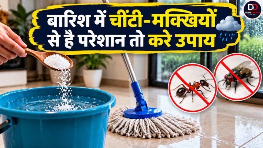 Monsoon Home Tips में पोछे के पानी में नमक से घर की सफाई