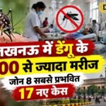 लखनऊ में डेंगू के 500 से ज्यादा मरीज, जोन 8 सबसे प्रभावित; 17 नए केस