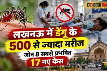 लखनऊ में डेंगू के 500 से ज्यादा मरीज, जोन 8 सबसे प्रभावित; 17 नए केस