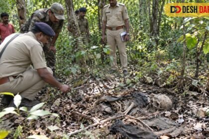 बहराइच के जंगल में लकड़ी बीनने गए बुजुर्ग का कंकाल मिला, बाघ के हमले की आशंका