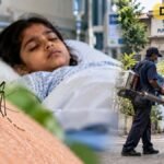 पुणे में 9 साल की बच्ची की संदिग्ध डेंगू मौत, स्वास्थ्य विभाग करेगा ऑडिट
